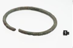 Foto von Bronzearmreif (NHMW-PRAE-023739)
